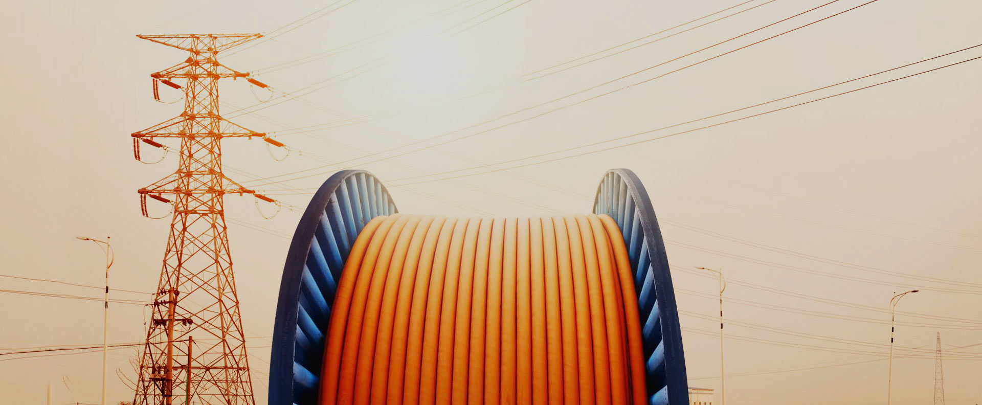 Electricity Industry